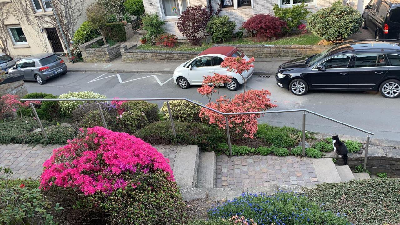 Ferienwohnung Am Waldrand Mit Dachterrasse Wetter  Dış mekan fotoğraf